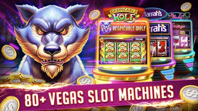 mwplay888 online casino log in